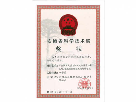 安徽省科學技術一等獎獎狀